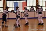Photo hockey reportage N2 : Les Griffons de Besançon champions !