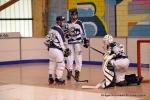Photo hockey reportage N2 : Les Griffons de Besançon champions !