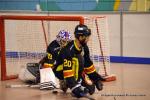 Photo hockey reportage N2 : Les Griffons de Besançon champions !