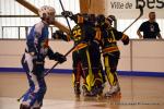 Photo hockey reportage N2 : Les Griffons de Besançon champions !