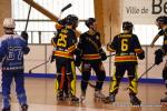 Photo hockey reportage N2 : Les Griffons de Besançon champions !