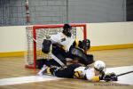 Photo hockey reportage N2 : Les Griffons quittent la dernière place