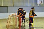 Photo hockey reportage N2 : Les Griffons virent en tête