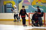 Photo hockey reportage N2 : Lyon tient bon