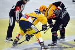 Photo hockey reportage NLB: Le HC Red Ice d’une courte tête
