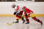 Photo hockey reportage Orléans vs Deuil : Photos U11
