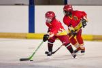 Photo hockey reportage Orléans vs Deuil : Photos U11