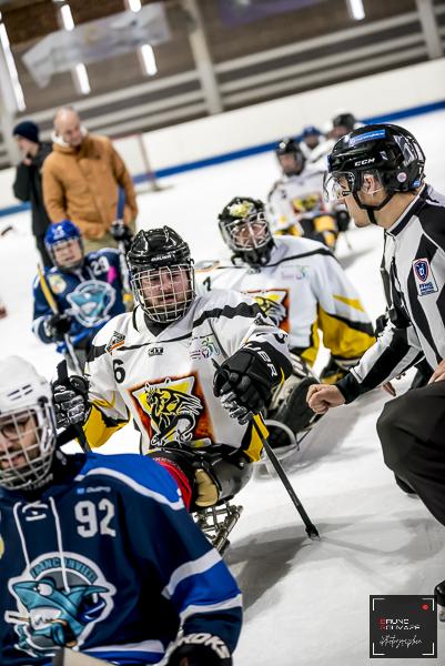 Photo hockey reportage Para Hockey