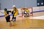 Photo hockey reportage Playoffs N2 : Angers et Besançon sont bons