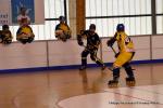 Photo hockey reportage Playoffs N2 : Angers et Besançon sont bons