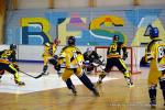 Photo hockey reportage Playoffs N2 : Angers et Besançon sont bons