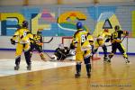 Photo hockey reportage Playoffs N2 : Angers et Besançon sont bons