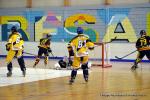Photo hockey reportage Playoffs N2 : Angers et Besançon sont bons