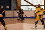 Photo hockey reportage Playoffs N2 : Angers et Besançon sont bons
