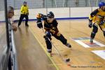 Photo hockey reportage Playoffs N2 : Angers et Besançon sont bons