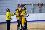 Photo hockey reportage Playoffs N2 : Angers et Besançon sont bons