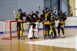 Photo hockey reportage Playoffs N2 : Angers et Besançon sont bons