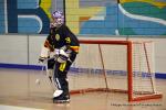 Photo hockey reportage Playoffs N2 : Hawks et Griffons décollent