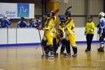Photo hockey reportage Playoffs N2 : Hawks et Griffons décollent