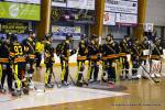 Photo hockey reportage PO N1 : Les Griffons au 7ème ciel