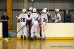 Photo hockey reportage PO N1 : Les Griffons au 7ème ciel