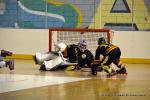 Photo hockey reportage PO N1 : Les Griffons au 7ème ciel