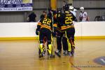 Photo hockey reportage PO N1 : Les Griffons au 7ème ciel