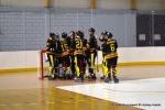 Photo hockey reportage PO N1 : Les Griffons au 7ème ciel