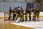 Photo hockey reportage PO N1 : Les Griffons au 7ème ciel