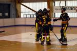 Photo hockey reportage Pré Nat 1/2 : Besançon tête de gondole