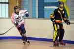 Photo hockey reportage Pré Nat 1/2 : Nantes et Besançon passent