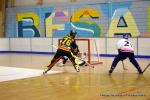 Photo hockey reportage Pré Nat 1/2 : Nantes et Besançon passent