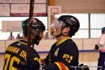 Photo hockey reportage Pré Nat 1/2 : Nantes et Besançon passent
