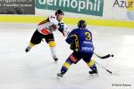 Photo hockey reportage Riviera Cup : Réactions des acteurs et photos