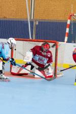 Photo hockey reportage Roller : 1er tournoi féminin à Villard Bonnot
