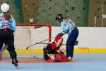 Photo hockey reportage Roller : 1er tournoi féminin à Villard Bonnot