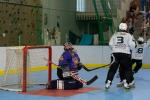 Photo hockey reportage Roller : 1er tournoi féminin à Villard Bonnot