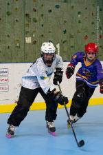 Photo hockey reportage Roller : 1er tournoi féminin à Villard Bonnot