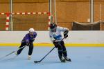 Photo hockey reportage Roller : 1er tournoi féminin à Villard Bonnot