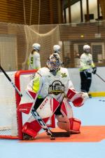 Photo hockey reportage Roller - All star Féminin : Nord vs Sud