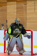Photo hockey reportage Roller - All star Féminin : Nord vs Sud