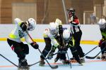 Photo hockey reportage Roller - All star Féminin : Nord vs Sud