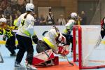 Photo hockey reportage Roller - All star Féminin : Nord vs Sud