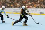 Photo hockey reportage Roller - All star Féminin : Nord vs Sud