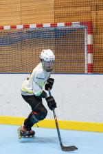 Photo hockey reportage Roller - All star Féminin : Nord vs Sud