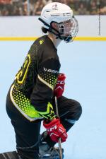 Photo hockey reportage Roller - All star Féminin : Nord vs Sud