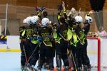 Photo hockey reportage Roller - All star Féminin : Nord vs Sud