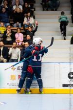 Photo hockey reportage Roller - All star game - Reportage photos