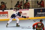 Photo hockey reportage Roller Elite : les Yeti's dominent les Conquérants