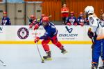 Photo hockey reportage Roller Féminin : Grenoble - Montpellier